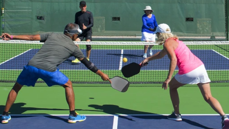 how Can You Rank Yourself based on Your Pickleball Skills